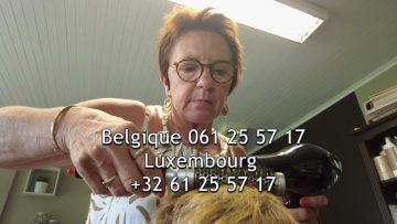 Private: [ID: Bhgg68Bd8Lw] Youtube Automatic