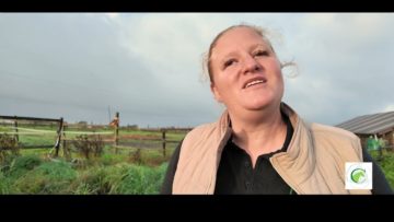 Private: [ID: INiaoyQqtHU] Youtube Automatic