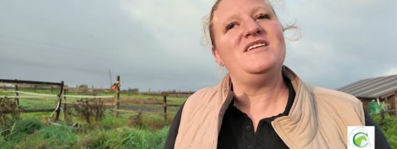 Private: [ID: INiaoyQqtHU] Youtube Automatic